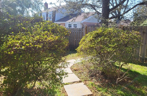 Burtonsville House | Cozy Lower Level Retreat Near Silver Spring