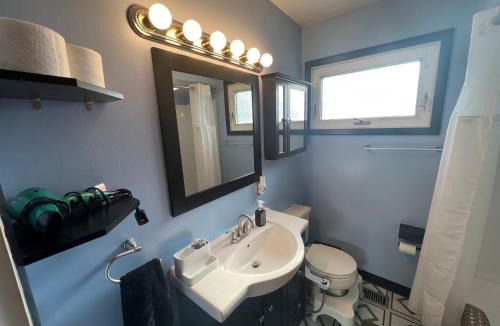 Ypsilanti House | Cute home near EMU and U of M