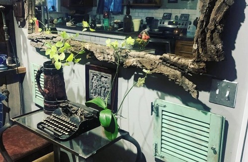 Coal Creek Canyon House | Dog Heaven/Unique mountain home for artists, creators or tech start ups.
