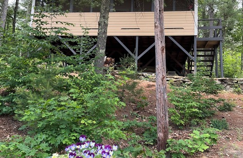 Holland Cabin | Dove Cabin up in the Trees