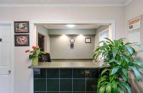 Sturbridge Cabin | Econo Lodge Sturbridge Route 20