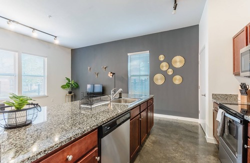 Downtown Memphis Apartment | Elegant KING SUITE downtown with a POOL and GYM