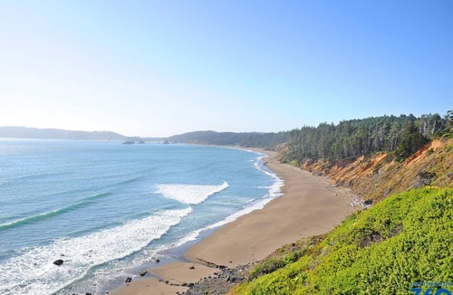 Newport Hotel | Enjoy a Hassle-Free and Suiting Stay! Modern Unit For 4, Pets Allowed!