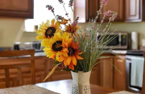 Wyldwood Cottage | Enjoy Austin and bring your pets! Relax and unwind after the Austin good times