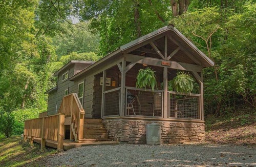 Lookout Valley Neighborhood Association Apartment | Ernie Cabin | Wauhatchie Woodlands Tiny Cabin