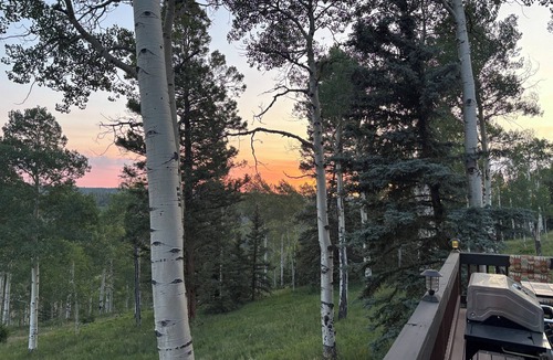Cimarron Cabin | Escape to the heart of the Colorado mountains at this peaceful cabin retreat.