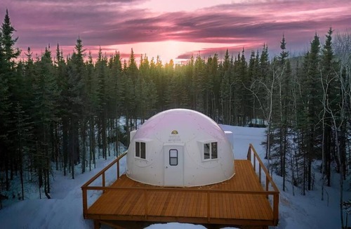Pleasant Valley Other | Fortymile Igloo: Reindeer Walking Path and Aurora