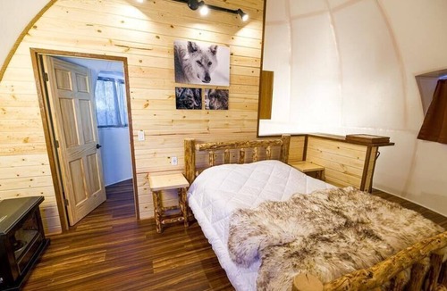 Pleasant Valley Other | Fortymile Igloo: Reindeer Walking Path and Aurora