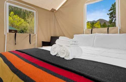 Poudre Park House | Glamp 5- American Plains Bison