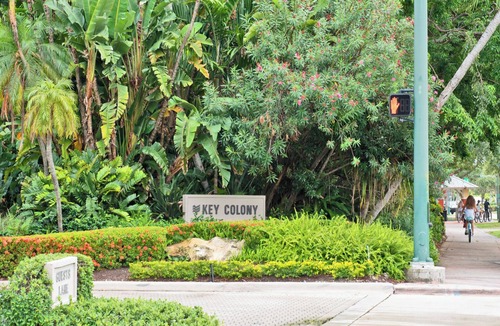 Key Biscayne Condo | Great Key Biscayne family sized ocean front condo 3/3 with large pvt terrace.