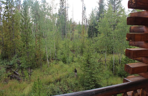 Grand Lake Cabin | Hang out with Moose! Log Cabin near RMNP/Columbine Lake