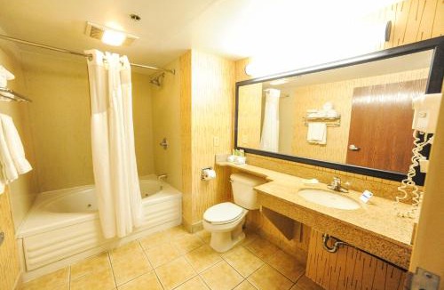 Bowling Green Hotel | Holiday Inn Express Hotel & Suites Bowling Green by IHG