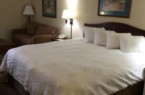 East Syracuse Hotel | Hotel Concord Syracuse, an Ascend Collection Hotel