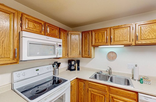 Wildernest Condo | Immaculate & updated mountain condo - great views