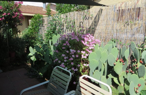 Bisbee House | LA CASITA: Charm/Privacy, Stunning Patio, pet friendly