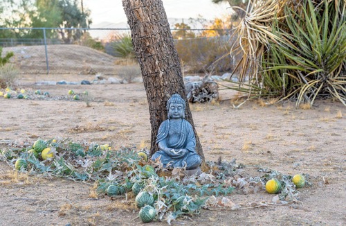 Joshua Tree House | La Mirada House, a quiet setting with expansive views, hot tub, spacious living