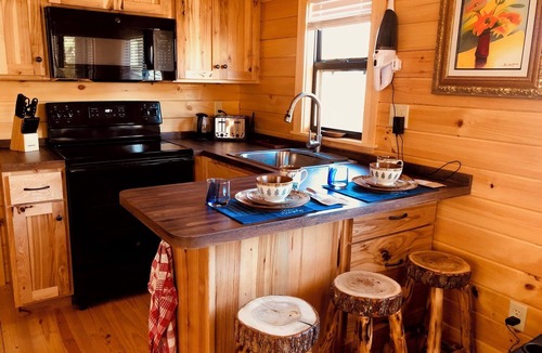 Spring City Cabin | Lancaster Tiny-House in the Woods with Private Finnish Sauna at Watts Bar Lake!