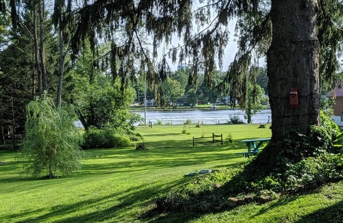 Town of Hastings House | Large docks, place for memories as one of a kind. Relax, play, swim, fish