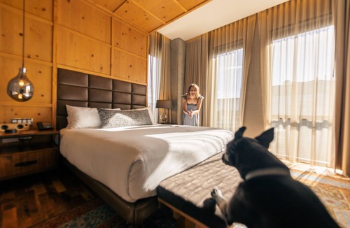LoDo Hotel | Limelight Hotel Denver