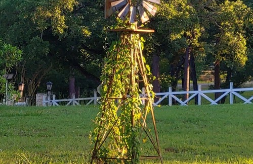 Camp Swift House | Little Rv in Bastrop. 3 miles from Lake Bastrop. Fire Pit , Fresh eggs available