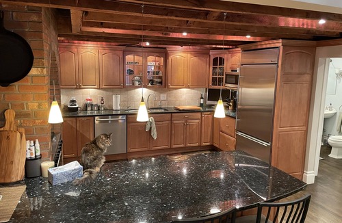 Shawmut Condo | Luxury 3 Br/2.5 Ba + Private Patio on one of Boston's Most Desirable Streets