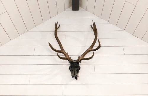 Holly Lake Ranch House | Magnolia Pines @ Holly Lake Ranch + Bunkhouse Addition Available