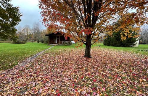 Lodi Cabin | Mill Creek Cabins