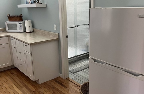 Union Pier Apartment | Moonlight Beach Bungalow 2 blocks to Lake Michigan beach!