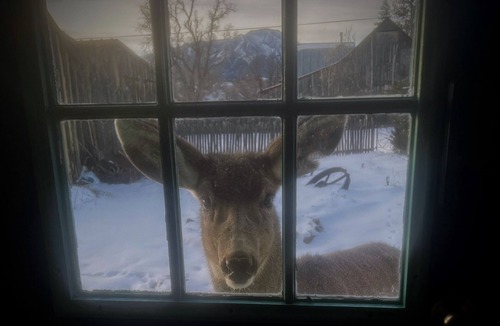 La Veta House | Mountain getaway in the heart of La Veta!