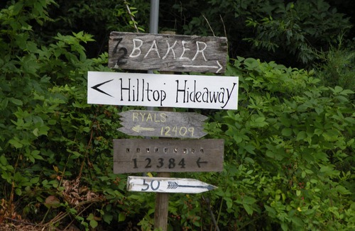 Viewtown House | Nestled Among Majestic Trees, Hilltop Hideaway is a Woodland Sanctuary