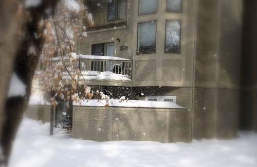 Downtown Condo | Newly remodeled bright open floor plan located in the heart of Boulder