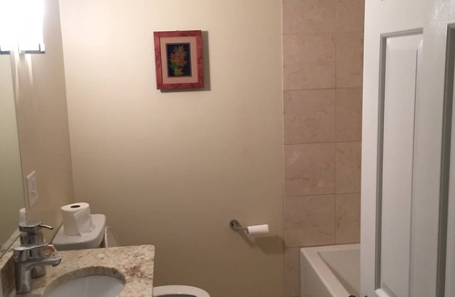 Old West Side House | Newly Renovated Home Minutes From Downtown Ann Arbor, 15 Minutes From Big House!