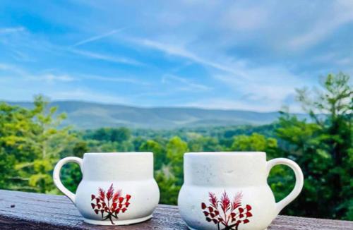 Orkney Springs Apartment | No Dog Fees - Dog Friendly 3BR 2BA with Loft and Mountain Views - Near Bryce Resort in Basye, VA