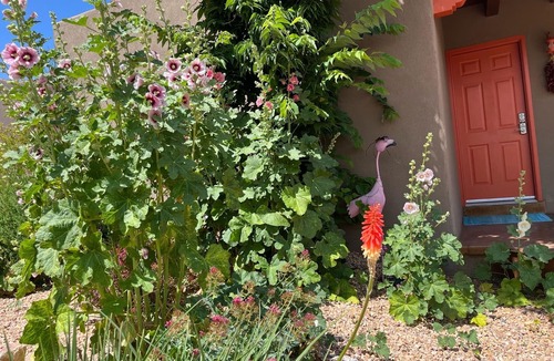 Nob Hill House | Nob Hill’s Casa Flamingo: King & Queen beds, Safe, Prime Location, Large Yard.