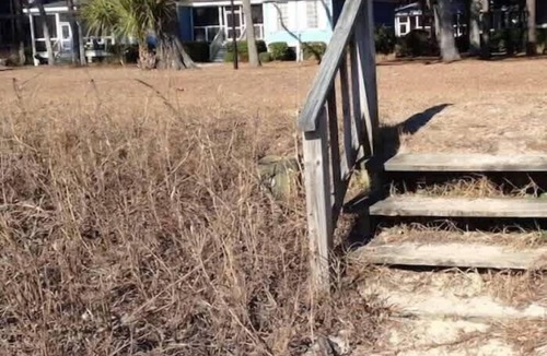 Melrose on the Beach House | Oceanfront Cottage on Daufuskie Island