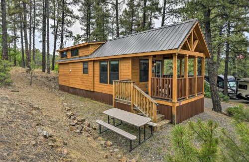 Pagosa Hills House | Pagosa Springs Tiny Cabin Fish, Hike, Ski and Soak!