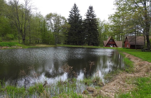 Genesee Cabin | Peaceful Days~Cozy Cabin~Sounds of Silence~Star Gazing~Relax