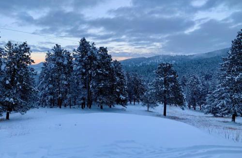 Evergreen Meadows House | Pinebox at Evergreen Modern 20Acres -Serene-Creek