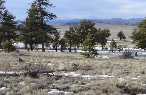 Hartsel RV Rental | Primitive bring your own tent hammock or camper
