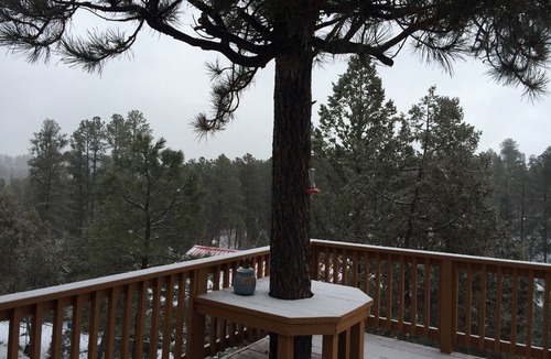 Ruidoso Cabin | Privacy & Location! One acre & 2min from town. Central AC. Covered patio.