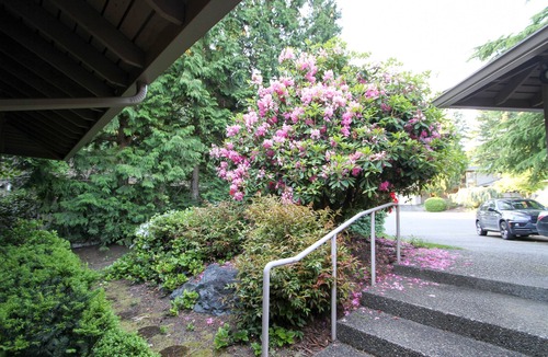 Northwest Bellevue House | Private Bellevue Sanctuary with View