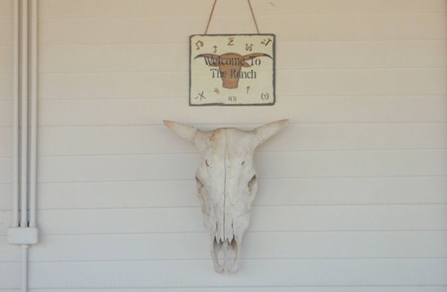 Mineral Wells House | Rancho Buenas Noches-Heaven on the Brazos River, just 90 minutes from Dallas