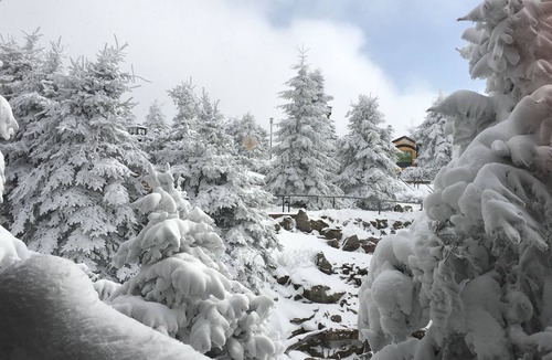 Snowshoe Condo | Rimfire 2 Br, 2 Bath Condo; Ski-In/Ski-Out, Heart Of The Snowshoe Village