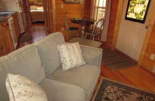 Hot Springs Cabin | Romantic Pet Log Cabin with hot tub, waterfall, wifi, gas grill, firepit creek