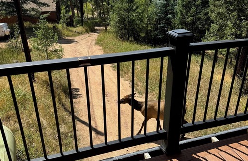 Evergreen House | Rustic and charming 2 bedroom retreat with a beautiful deck