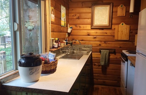 Gold Bar Cabin | Rustic Cedar Cabin on the River beneath Mt Index with intimate Hot Tub