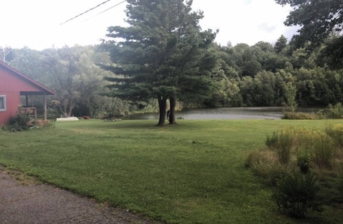 Winsted Cabin | Rustic escape on a pond with 7 acres in Colebrook, CT!