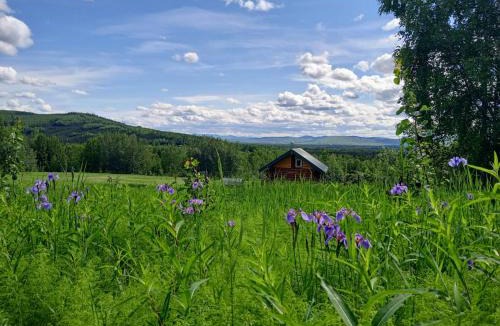 Fairbanks House | Secluded Log Cabin, 30 min from Chena Hot Springs