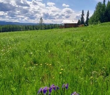 Fairbanks House | Secluded Log Cabin, 30 min from Chena Hot Springs