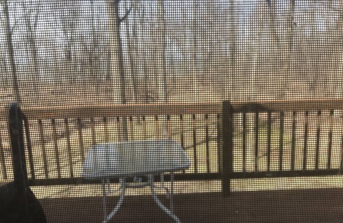Chautauqua County Apartment | Serene location in middle of wine country